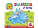 Zwierzęta w domu. Kolorowanka z grubym obrysem KS0516