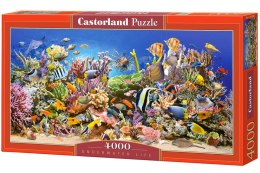 Puzzle 4000 el. Underwater Life