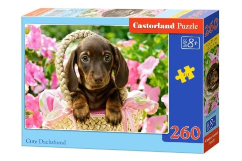 Puzzle 260 el. Cute Dachshund