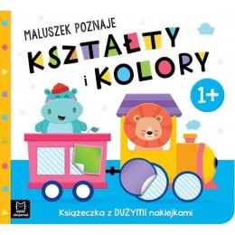 Maluszek poznaje kształty i kolory. 1+