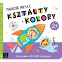 Maluszek poznaje kształty i kolory. 2+