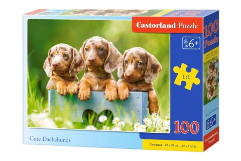 Puzzle 100 el. Cute Dachshunds