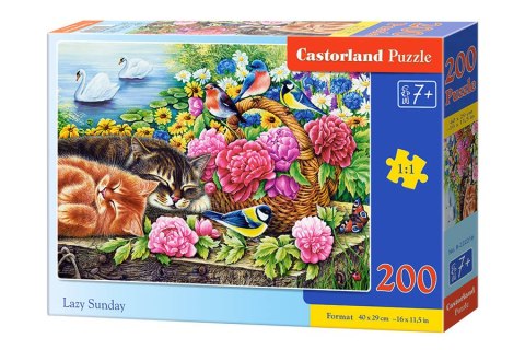 Puzzle 200-elementów