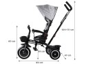 Rowerek trójkołowy Tiny Bike 3w1 z daszkiem SP0650