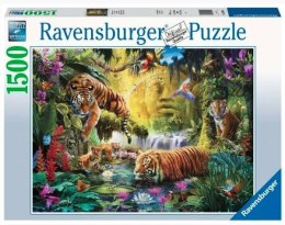 Puzzle 1500 elementów Spokojne tygrysy Ravensburger Polska