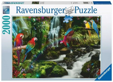 Puzzle 2000 elementów Papugi w dżungli Ravensburger Polska