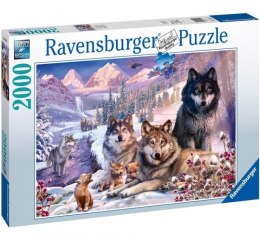 Puzzle 2000 elementów Wilki w śniegu Ravensburger Polska