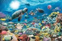 Puzzle 5000 elementów Głębia Oceanu Ravensburger Polska