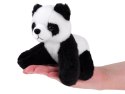 Pluszak Maskotka Panda 13cm Przytulanka 13723