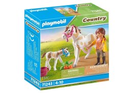 Zestaw Country 71243 Klacz ze źrebakiem Playmobil