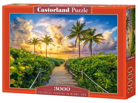 Puzzle 3000-elementów Colorful Sunrise in Miami, USA C-300617