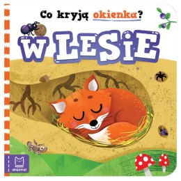 Aksjomat Co kryją okienka? W lesie KS0779